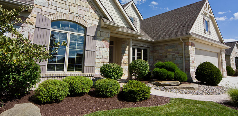 Plant near the side of your house, but leave a little room. You should be able to squeeze between the wall of your house and the shrubbery.