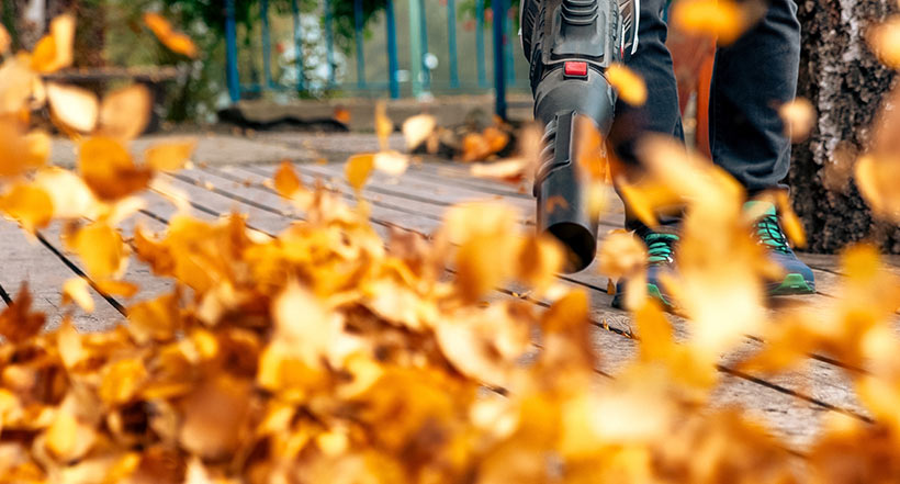 Fall is the best chance to move your lawn forward. When you rake it in now, you are not just cleaning up leaves; you are earning future wins in the form of thicker turf, fewer weeds, and a yard that is ready to impress everyone when the first warm day of spring finally rolls back around.