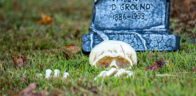 Fixing Spooky Spots Before Winter Sets In