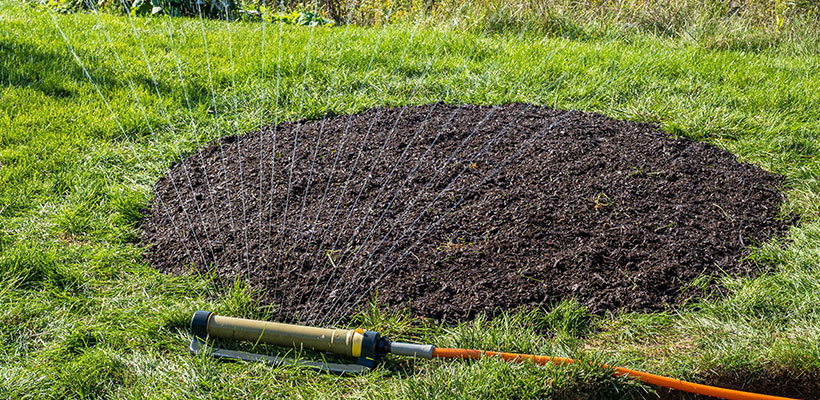In order for fall patches to succeed, the top layer of soil needs consistent moisture until seedlings are well established. During fall in the Midwest, you often get help from cool air and rain, but you cannot rely on that alone.