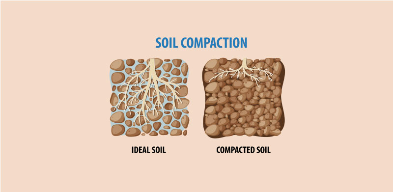 Soft Ground, Hard Soil: Understanding Late Winter/Early Spring Soil Compaction