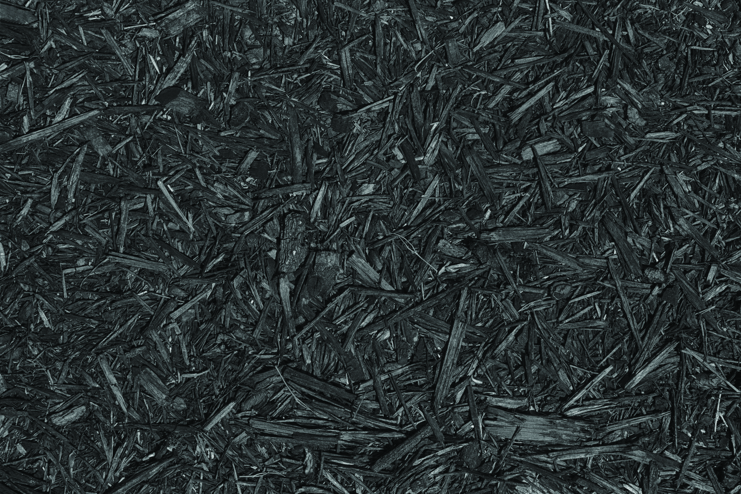 Seven Reasons to Invest in Mulch