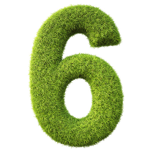 Six Sure Ways to Get Your Neighbors to Envy Your Lawn!