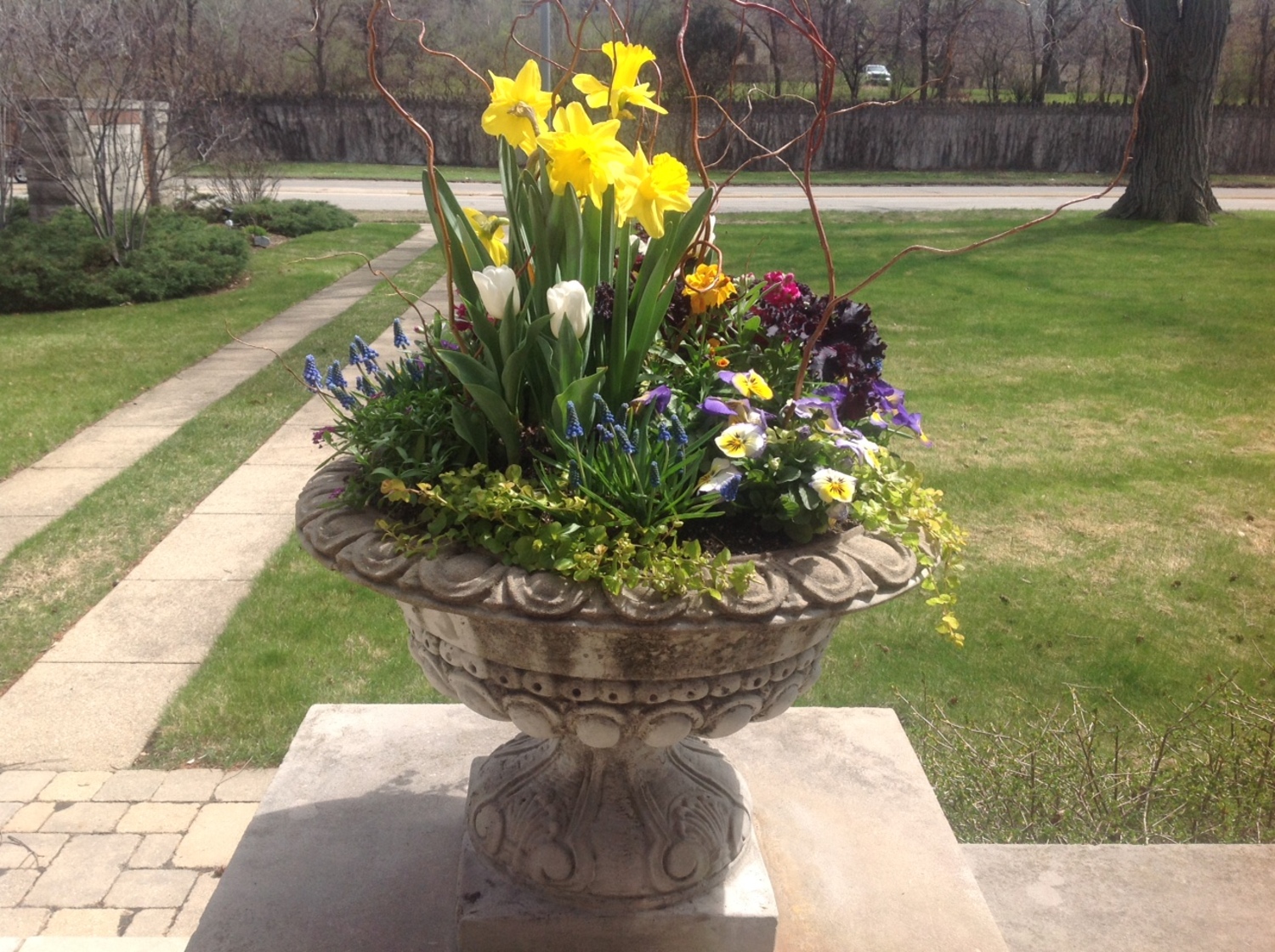 Spring is Nature's Way of Saying, "LET'S PARTY!"