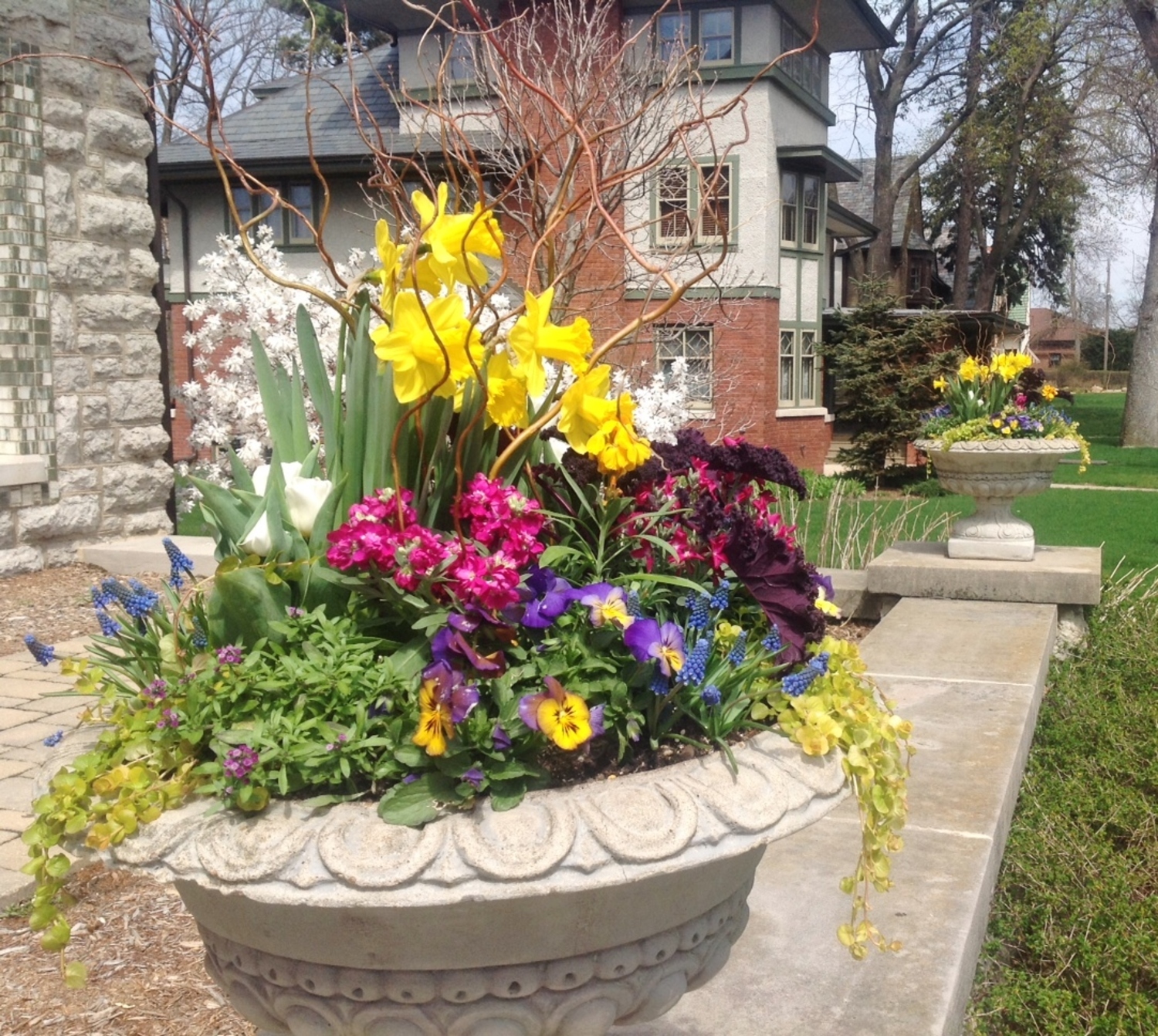 Spring is Nature's Way of Saying, "LET'S PARTY!"